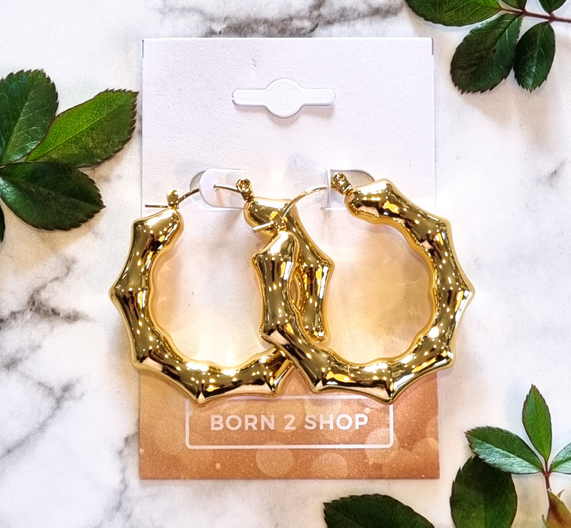 Paris Contemporary Chic Earrings- RDGHOOPGO